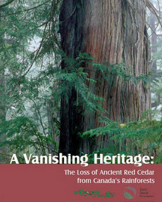 A Vanishing Heritage