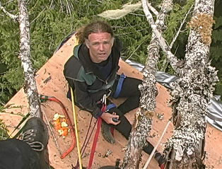World's Highest Treesit